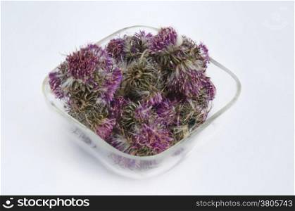 Ecological medicative dry herb flower - white thorn (Silybum marianum) on the glass plate