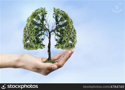 Ecology and health concept. Close up of hand holding green tree concept