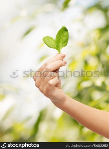 ecology and healthy food - woman hand with green sprout