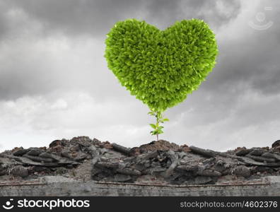 Ecology concept. Conceptual image with green heart growing on ruins