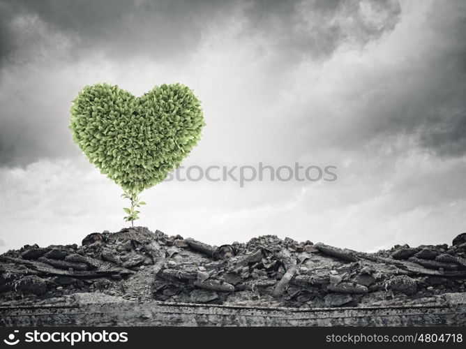 Ecology concept. Conceptual image with green heart growing on ruins