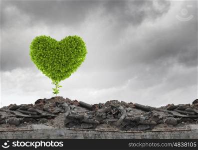 Ecology concept. Conceptual image with green heart growing on ruins