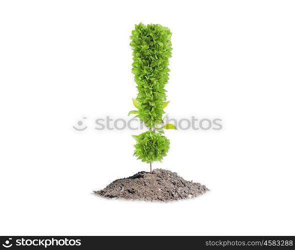 Ecology concept. Green plant in shape of exclamation sign. Greenery concept