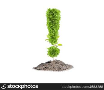 Ecology concept. Green plant in shape of exclamation sign. Greenery concept