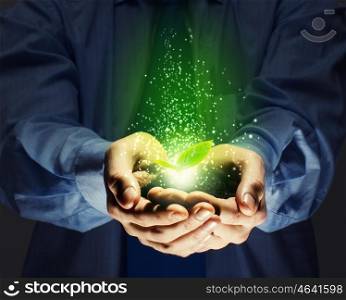 Ecology concept. Green sprout in human hands. Recycle idea