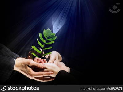 Ecology concept. Green sprout in human hands. Recycle idea