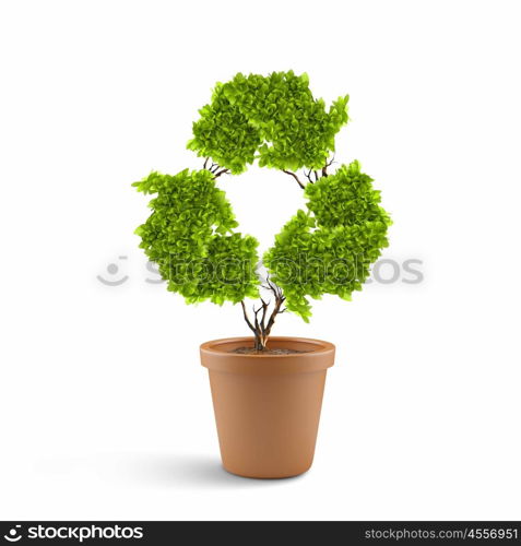 Ecology concept. Image of plant in pot shaped like recycle symbol