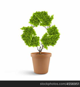 Ecology concept. Image of plant in pot shaped like recycle symbol