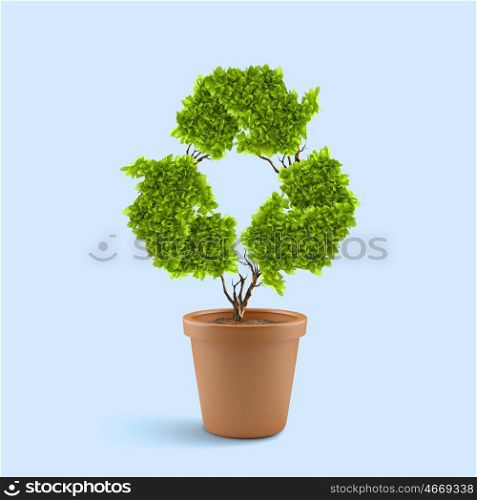 Ecology concept. Image of plant in pot shaped like recycle symbol