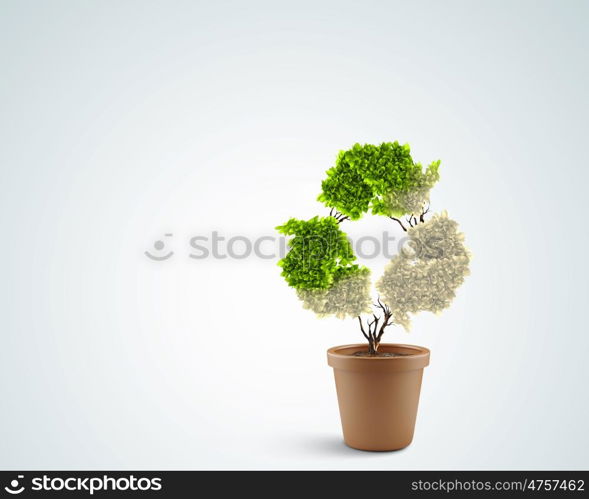 Ecology concept. Image of plant in pot shaped like recycle symbol