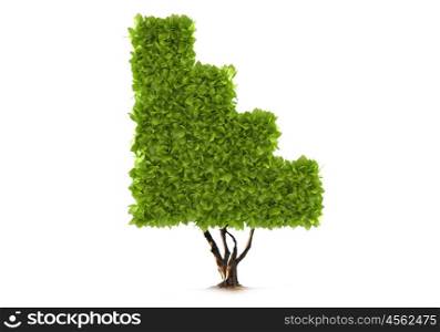 Ecology concept. Plant in shape of graph against white background