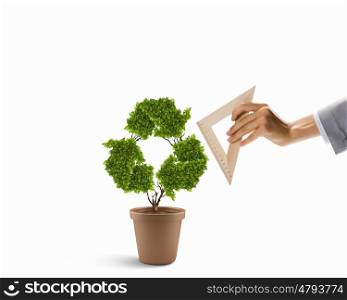 Ecology concept. Plant in shape of recycle symbol and human hand holding ruler