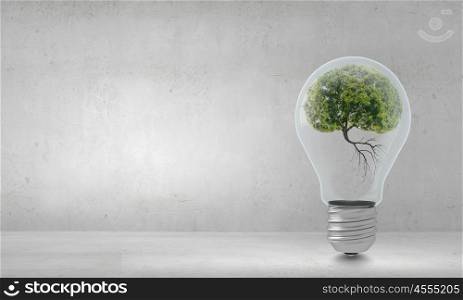Ecology concept with green tree inside of light bulb. Ecology ideas