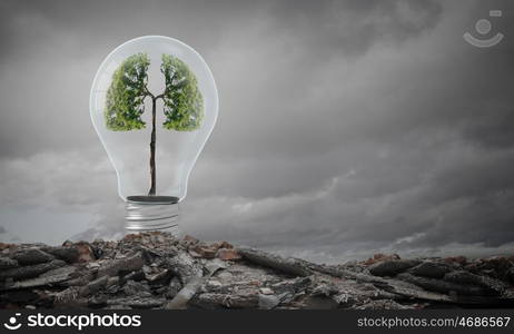 Ecology concept with green tree inside of light bulb. Ecology ideas