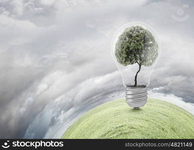 Ecology concept with green tree inside of light bulb. Ecology ideas