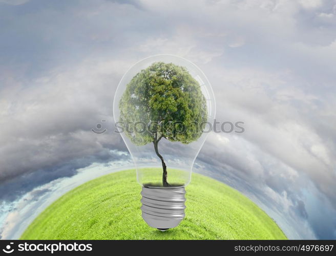 Ecology concept with green tree inside of light bulb. Ecology ideas