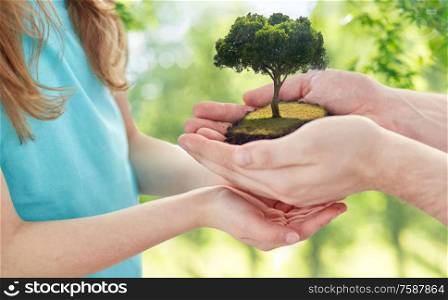 ecology, family and environment concept - close up of father&rsquo;s and girl&rsquo;s hands holding tree over green natural background. close up of father&rsquo;s and girl&rsquo;s hands holding tree