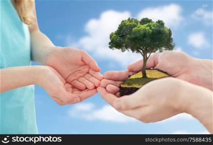 ecology, family and environment concept - close up of father&rsquo;s and girl&rsquo;s hands holding tree over blue sky and clouds background. close up of father&rsquo;s and girl&rsquo;s hands holding tree