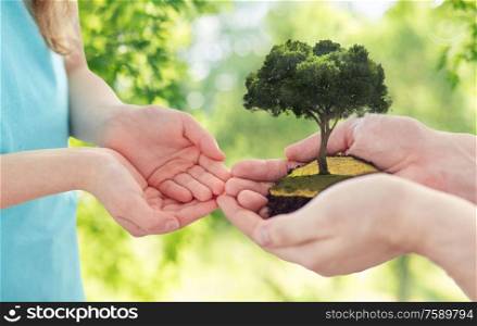 ecology, family and environment concept - close up of father&rsquo;s and girl&rsquo;s hands holding tree over green natural background. close up of father&rsquo;s and girl&rsquo;s hands holding tree