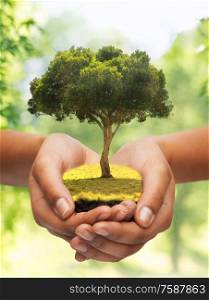 ecology, nature and environment concept - close up of hands holding tree over green natural background. close up of hands holding tree