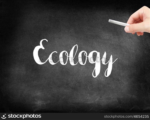 Ecology written on a blackboard