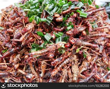 Edible fried insects suitable as food snack. It is good source rich of protein.