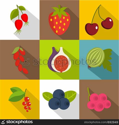 Edible fruit icons set. Flat set of 9 edible fruit vector icons for web with long shadow. Edible fruit icons set, flat style