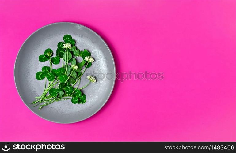 Edible garden flowers clover for spring salad on a gray plate. Bright pink background with copy space, flat lay. Healthy food, detox