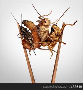 Edible insects and eat bugs or eating insect snacks as exotic cuisine and alternative high protein nutrition as a cricket grasshopper and larvae with chopsticks as a symbol for entomophagy with 3D illustration elements.