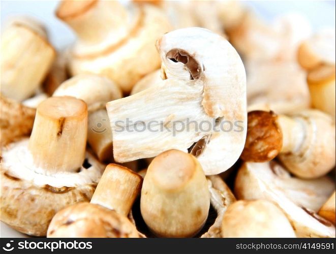 Edible mushroom