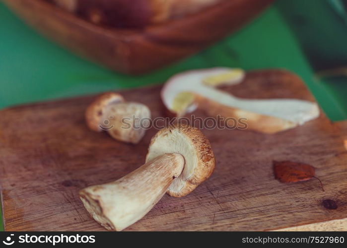 Edible mushrooms in the kitchen in fall season.