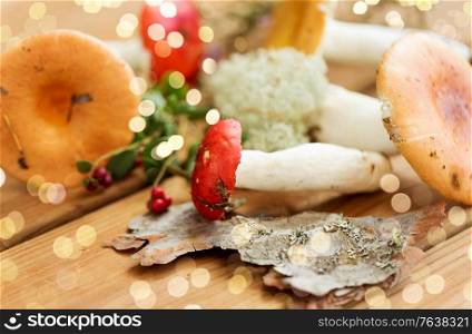 edible mushrooms, nature and environment concept - russules on wooden background. russule mushrooms on wooden background
