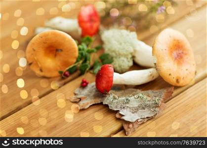 edible mushrooms, nature and environment concept - russules on wooden background. russule mushrooms on wooden background