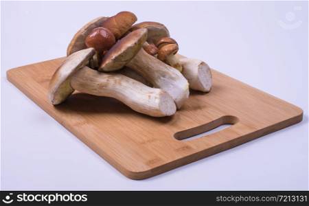 edible porcini mushrooms lie on a wooden board for cooking, white background. edible porcini mushrooms