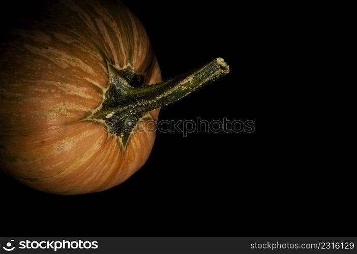 edible pumpkin on black background