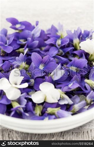 Edible violets in bowl. Foraged edible purple and white violet flowers in bowl closeup
