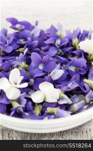 Edible violets in bowl. Foraged edible purple and white violet flowers in bowl closeup