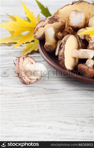 Edible wild mushrooms and leaves in a clay plate on a wooden background.