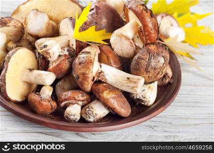 Edible wild mushrooms and leaves in a clay plate on a wooden table. Autumn background with mushrooms.