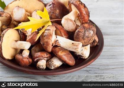 Edible wild mushrooms and maple leaf in a clay plate on a wooden background.