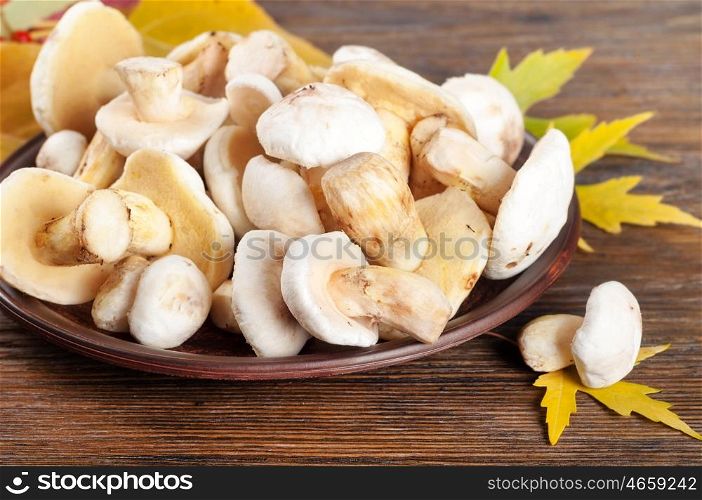 Edible wild mushrooms and maple leaves on a wooden background. Forest cleaned mushrooms in a clay plate.