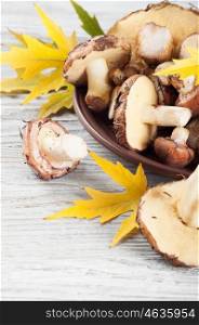 Edible wild mushrooms and yellow maple leaves on a wooden background.