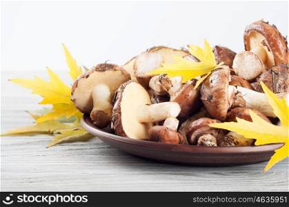 Edible wild mushrooms in a clay plate on a wooden background.