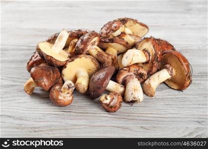 Edible wild mushrooms on a wooden background