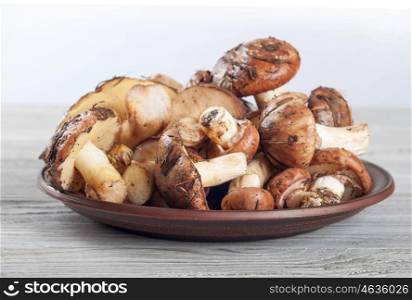 Edible wild mushrooms on a wooden background. Forest mushrooms in a clay plate.