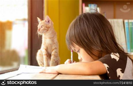 Educate at home. Asian little child girl doing homework by the window indoors on the weekend with the kitten sat beside her. Cute pet concept. Back to school.