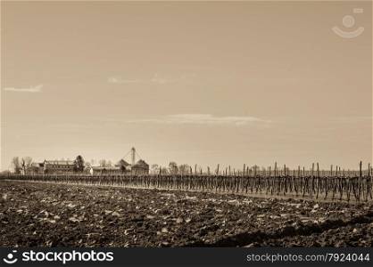 Effect vintage . Agricultural Landscape with vineyard and farm house in the background