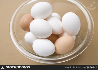 Egg