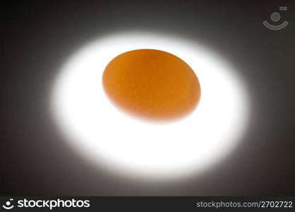 Egg