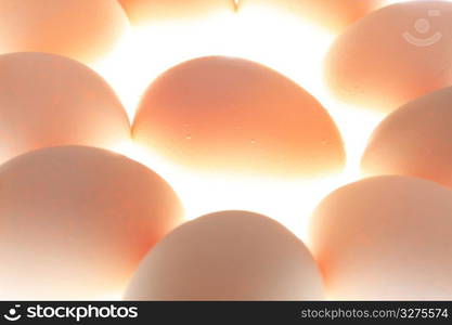 Egg